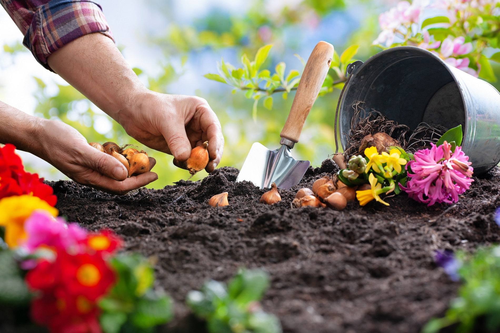 Consejos útiles para evitar la proliferación de plagas y malas hierbas primaverales en tu jardín