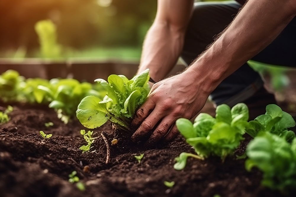 economía circular buenas prácticas agrícolas sanidad vegetal agricultura circular protección de cultivos respeto medio ambiente aepla