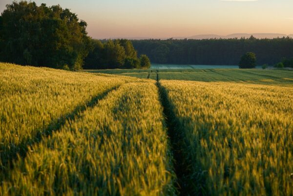 conservación entorno agrícola buenas prácticas agrícolas sostenibilidad sanidad vegetal agricultura sostenible aepla