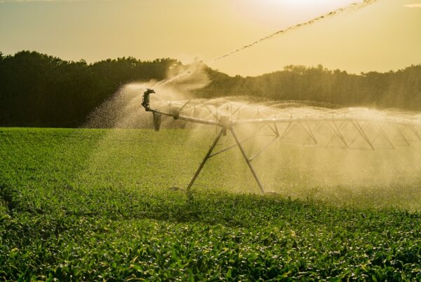 agua de riego sostenibilidad cuidado de cultivos agricultura sanidad vegetal aepla