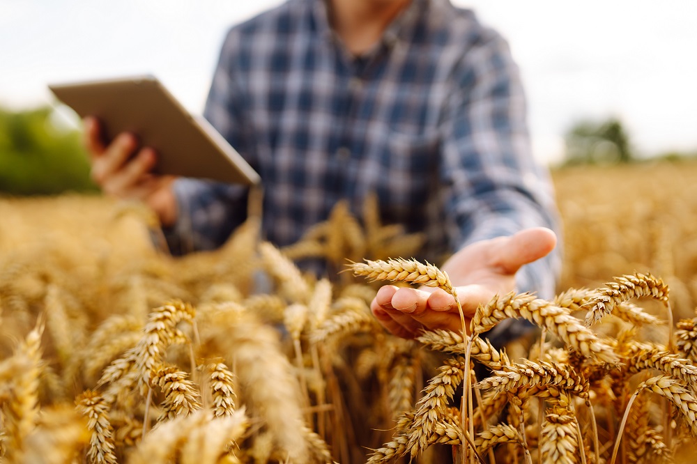 aplicación de fitosanitarios agricultura sostenible sostenibilidad actividad agrícola buenas prácticas sanidad vegetal tratamientos fitosanitarios aepla